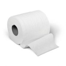 Toilet Tissue Green Tree Basics White 500 Sheets 2 Ply Ea, 96 EA/CA