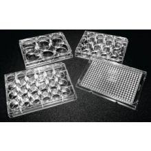 Treated 12-Well Tissue Plate With Lid, Flat Bottom, Polystyrene, Sterile